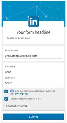 LinkedIn Lead Gen 表例子